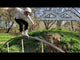 SKA800320_KIZER SUV 125 Offroad Frame Only 3x125mm 295mm UFS Offroad Off-road SUV Flat Frame Schiene Frame Skate Schiene Aggressive Antirocker Frame Flat Frame Freestyle Frame Aggressive Inlineskates Aggressive Skates aggro skates stunt skates rollerblades aeon skates usd aeon flat frame Stunt Skates Park Skates Aggro Trick Skating Skatepark Inline Skating Rollerblading Freizeitskates Freizeit Skating Inlinerfahren Inliner laufen Skating Rollerblades Inline Skateschule und Skateshop SkaMiDan Weil am Rhein D